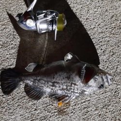 鹿島灘港でメバリング